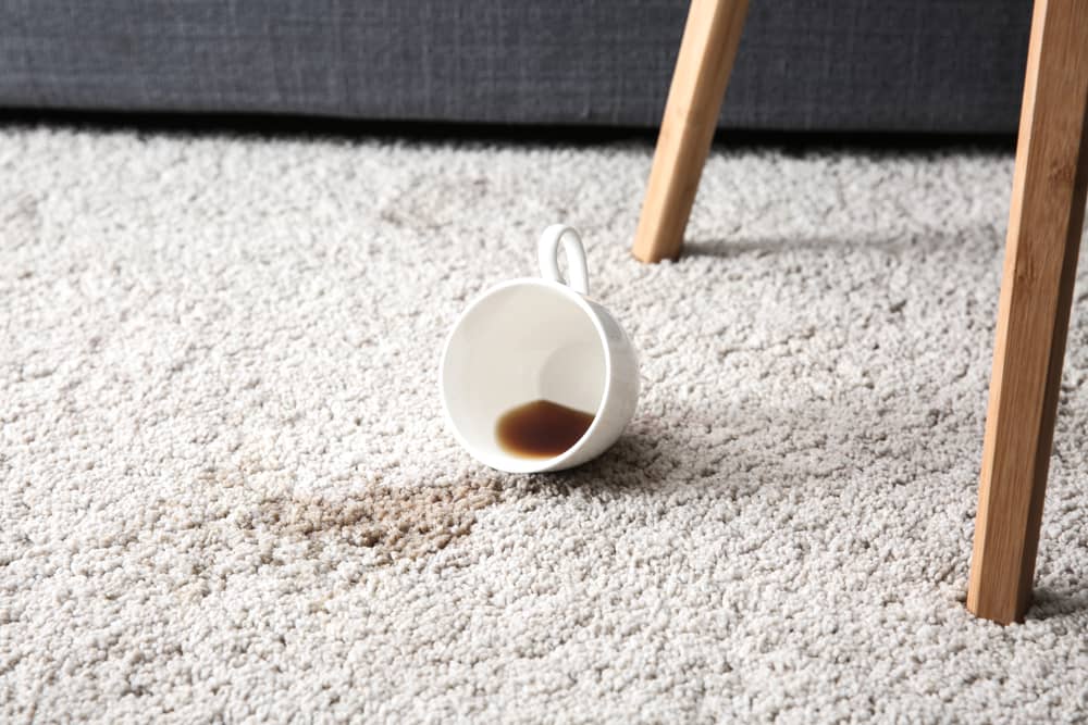 5 Common Carpet Stains and How to Remove Them hero image