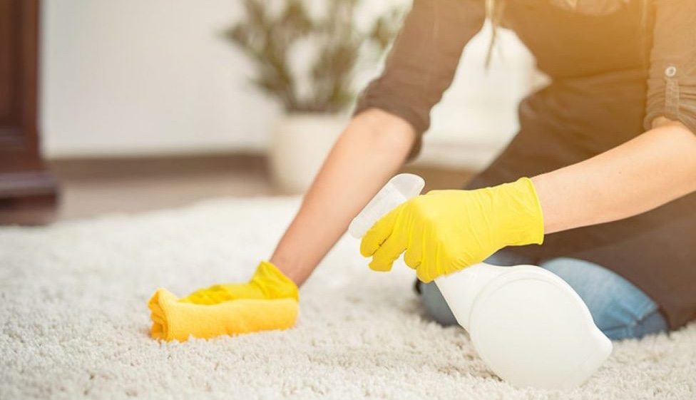 Eco-Friendly Carpet Cleaning: How We’re Making a Difference hero image