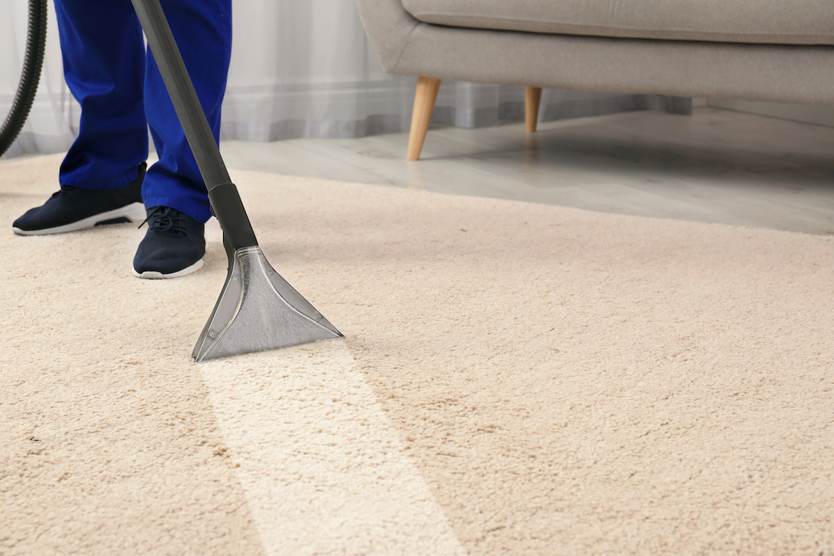 The Importance of Professional Carpet Cleaning for Allergy Relief hero image